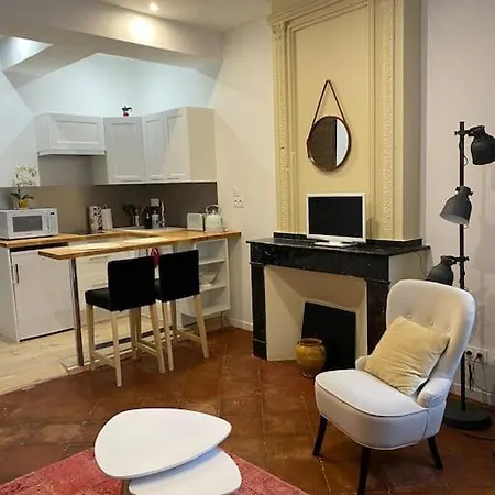 Apartman Centre-ville *